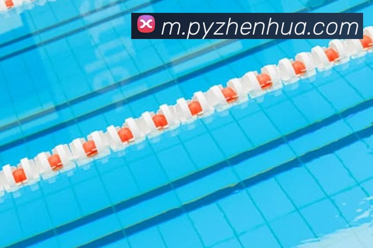 奖项证书
